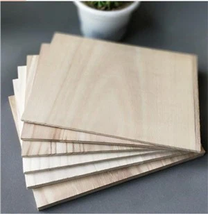 Paulownia Sprzedaż drewna