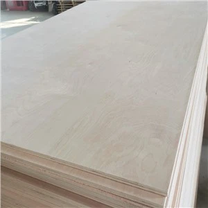 Niska cena Topola Eukaliptus Rdzeń Brzoza Drewna Fornir Sklejka